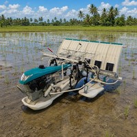 Transplanteuses de riz manuelles OEM ODM 7-17 mm à profondeur de plantation longitudinale de 5 positions pour rizières en eau profonde avec ajustement libre