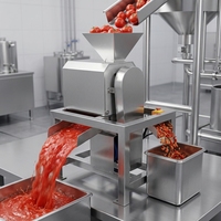 Tomatenpulp-extractiemachine met motor & motorblok, voedselveilig 304 roestvrij staal voor tomatensaus- en fruitpuree productielijn