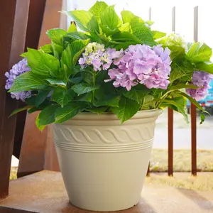 Outdoor Suppliers Large Plastic Buy Wholesalers Planters Sale Cheap Plant Pots With Draining Hole