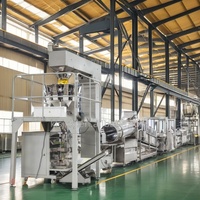 Máquina para hacer patatas fritas y patatas fritas de acero inoxidable totalmente automática KLS para fábrica de aperitivos y planta de fabricación