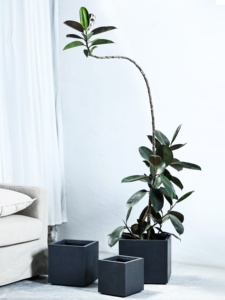 Maceta Simple de Estilo Nórdico Verde, Fabricada con MgO, de Gran Diámetro, Diseño Cuadrado Personalizado, Color Negro Diamante, para Schefflera <span class=keywords><strong>Arboricola</strong></span> - Product Image 1
