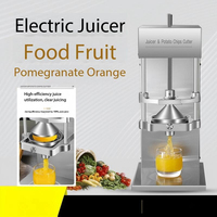 Presse à jus électrique verticale stable pour concombres et radis, idéale pour les chaînes de restauration rapide et l'usage quotidien