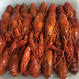 ฤดูกาลใหม่แช่แข็งทั้งรอบกุ้ง - Product Image 3