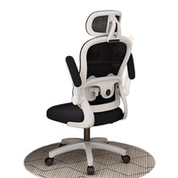 Chaise d'ordinateur ergonomique en maille, chaise de bureau avec dossier à ailes, base à 5 étoiles, roulettes, siège pivotant, accoudoirs rabattables pour la maison et le bureau