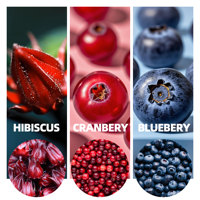 Tisane aux fruits naturels Hibiscus, Canneberge, Myrtille, Pomme et Aubépine, sans caféine, 10 sachets pour femmes