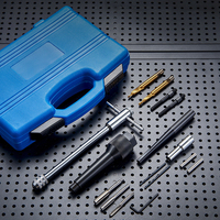 8mm 10mm Endommagé Glow Plug Extractor Repair Tool Set 16Pcs Glow Plug Remover Remover Set a Set of Glow Plugs Tool Kit