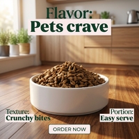 Aliments secs pour animaux de compagnie en gros : Nourriture saine pour chats avec poulet et saveur de bœuf barbecue frais, et aliments secs pour chiens adultes
