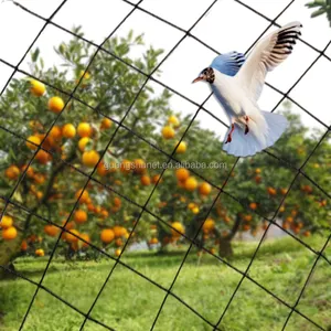 Tarım bahçe ağları kuş yakalama Anti kuş sis filesi Polyester kuş Net