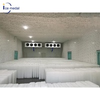 Machine à glace industrielle à eau salée de 3 tonnes/24h pour usine de glace avec certificat CE - Maquina De Hielo
