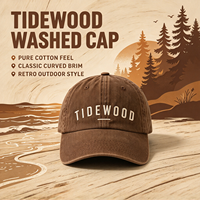 Casquette de baseball en coton lavé TIDEWOOD avec broderie de lettres, style rétro classique, pour homme et femme