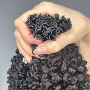<span class=keywords><strong>Capelli</strong></span> vergini cambogiani di alta qualità cuticola cruda crespo riccio K punte Afro crespo <span class=keywords><strong>extension</strong></span> per <span class=keywords><strong>capelli</strong></span> umani - Product Image 5