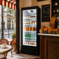 Congélateur vertical avec porte en verre noir, refroidissement par air, haute efficacité, vitrine pour supermarché