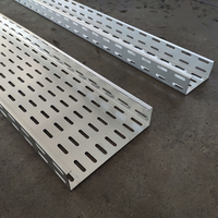 Échelle-câble en acier prégalvanisé de 3 mètres de longueur pour usage industriel et de construction, fabriquée par une machine de profilage à haute efficacité