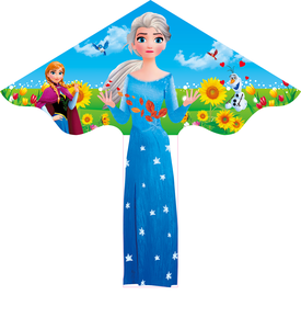 Cerfs-volants Dragon, <span class=keywords><strong>Papillon</strong></span>, Aigle, Jouets d'extérieur pour enfants, Cerfs-volants de dessin animé, Cerfs-volants Diamant, Delta, Bat, Kit pas cher, Livraison gratuite d'usine - Product Image 5