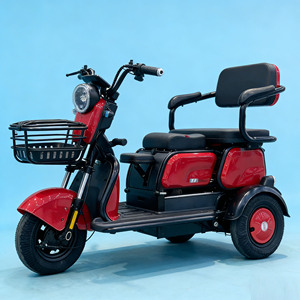 Triciclo Elettrico a 3 Ruote da 500W in Offerta Speciale, Due Posti, Carrozzeria Aperta, Autonomia 50-70km, per Anziani e Disabili, Scooter Elettrico a Tre Ruote - Product Image 5