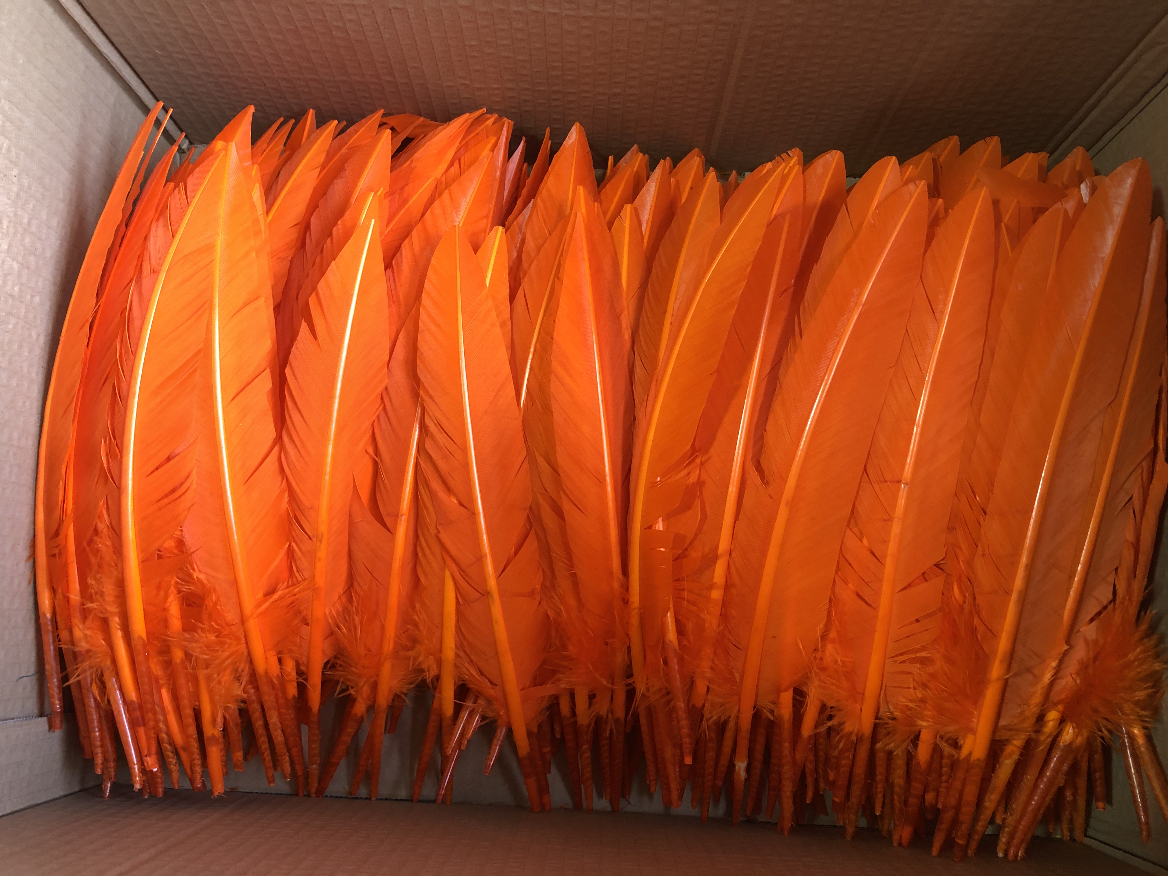 wing feather gold plated thin