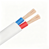 Câble flexible gainé PVC RVVB 2*4/6 mm respectueux de l'environnement, câble parallèle pour applications d'ingénierie basse tension