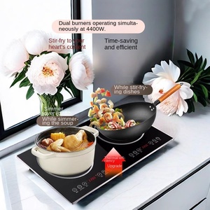 Estufa de Inducción Independiente para Hoteles, Restaurantes y Servicios de Catering, de un Solo Quemador, Panel de Cerámica, Control Táctil, Función de Vapor y Hervido, Impermeable - Product Image 4