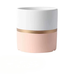 Style nordique en céramique succulente jardinière Pot Unique intérieur décor à la maison poudre revêtement petite plante fleur en gros pour accrocher - Product Image 5