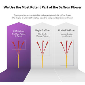 Özel Marka Organik Safran Ekstresi Antioksidan Takviyesi GMP Sertifikalı Yetişkinler İçin Sakinlik ve Odaklanma Vegan Kapsülleri - Product Image 3