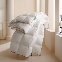Ensemble de couette en duvet d'oie luxueux 5 étoiles couette de remplissage en duvet doux personnalisé couette en coton moelleux literie d'hôtel avec cravates