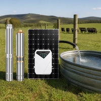 Pompa Sumur Bor Tenaga Surya 72V 1 HP 2 M3/jam 60 m Head dengan Kabel Submersible untuk Irigasi Kebun dan Taman, Supplier dengan Jaminan Dagang