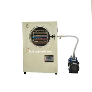 Freeze Dryer Vacuum Freezing Dryer Machine Frozen Dryer