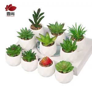 Plantas suculentas artificiales de cerámica, ES1157-19 de decoración para interior y exterior, venta al por mayor