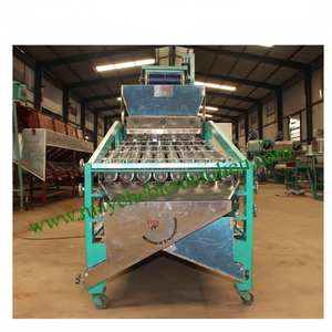Nueva máquina de clasificación automática de anacardos de alta calidad 380V 1 año de garantía Procesamiento de frutas Directo de fábrica Vietnam Competitivo - Product Image 1