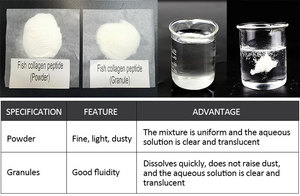 Polvere di Peptidi di Collagene di Pesce 500-1000Da - Inodore, 100% Idrosolubile per Uso Alimentare e Cosmetico - Product Image 3