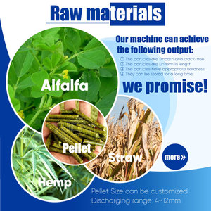 RICHI Personalizado 3-4 t/h Trevo De Palha De Grama Biomassa De Alfafa Pellet Line - Product Image 2