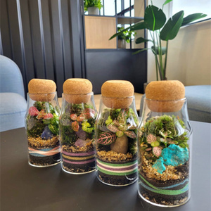 <span class=keywords><strong>Vase</strong></span> de terrarium en verre de 150ml Art déco moderne avec liège en bois et mousse Présentoir de table de Noël créatif - Product Image 1