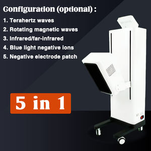 Masseur Gyromagnétique Terahertz Portatif pour Soulager les Douleurs Corporelles Exercice Soins de Santé Appareil de Physiothérapie Russe Thérapie Physique - Product Image 2