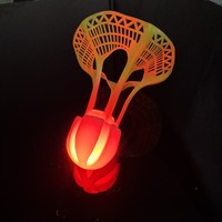Balle de badminton lumineuse et coupe-vent, super durable, fluorescente, en plastique nylon léger, 20g