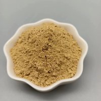 Diatomite de qualité alimentaire naturelle de haute pureté pour le traitement de la bière, du vin et de l'eau, approvisionnement en vrac en diatomite