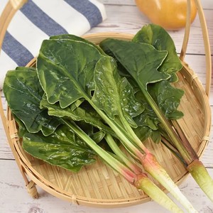 PU Artificial Spinach Model Lifelike Fake Vegetable Food <b>Prop</b> for Halloween Thanksgiving <b>Stage</b> Farm Scenery Display - Product Image 1