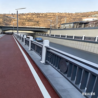 Barrières de protection paysagères en acier inoxydable 304 et composite carbone, montées au sol, pour la protection des ponts et rivières, vente en gros