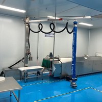 Lève-sacs industriel à tube sous vide 60 kg pour la manutention de sacs chimiques, levage de sacs tissés, anti-poussière