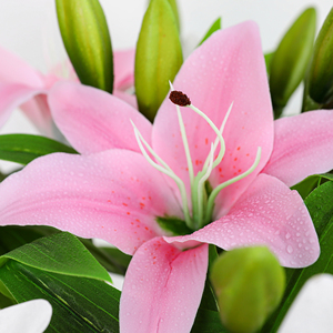 Suministro de Fábrica: Lirios Artificiales de Tacto Real con Tallo Largo de 38cm, Flor de Lirio Falsa para Pedidos al por Mayor, Arreglos Florales para Bodas, Decoración del Hogar - Product Image 4