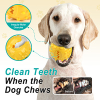 Jouet à mâcher pour chien, jouet à mâcher pour nettoyer les dents, petit jouet rond en caoutchouc TPR