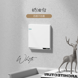International Electric 86 Type Concealed Ultra Thin White Single Panel Five Hole Socket Home Use - Product Image 4