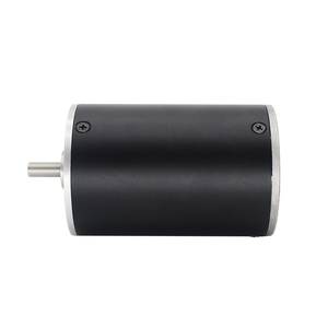 Electric High Torque Inner Rotor BLDC Motor for Actuator Permanent Magnet 48v Flat