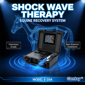 Equipo de Terapia de Ondas de Choque para Caballos en Oferta, Reduce la Inflamación en el Tejido, Dispositivo de Masaje con Ondas de Choque para Uso Equino - Product Image 1