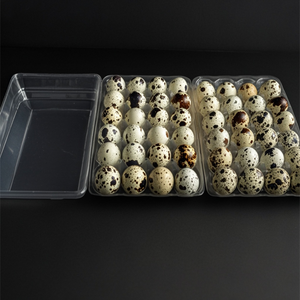 Plateau de 24 Alvéoles Pliable pour Œufs de Caille – Cartons à Œufs de Caille - Product Image 3