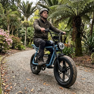 Umweltfreundliches Schwarzes Hybrid-Elektrofahrrad mit 48V 16Ah Lithium-Akku, Park-E-Bike für Gartenpflege - Product Image 2