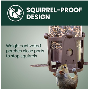 Tempat Makan Burung Liar Terbaik Squirrel-Be-Gone Max Ukuran Besar, Anti Burung, dengan Tempat Bertengger yang Diaktifkan Berat Badan, Kapasitas Biji 4LB - Product Image 6