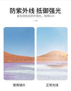 Gafas de Sol Personalizables con Forma, Monturas de Acetato Marrón, Lentes de PC, Opciones Polares, Azul, Rojo, Champán, Lente Personalizada 2025 - Product Image 5