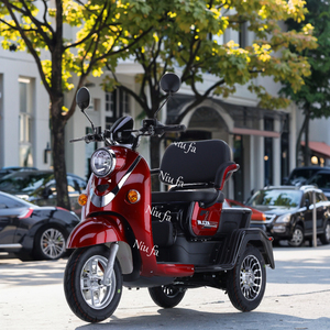 Vente directe usine – Nouveau tricycle passager élégant et personnalisable à cadre en acier, scooter électrique à trois roues et moto de rue - Product Image 3