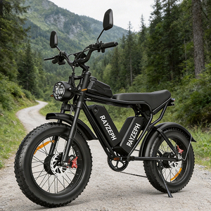 Q20Pro 20 Inch Mtb Fatbike Dual Motor Lithium Battery Fat Tire Electric Mountain Dirt Bike Off Road Electric <b>Bicycle</b> For Adults - Product Image 1