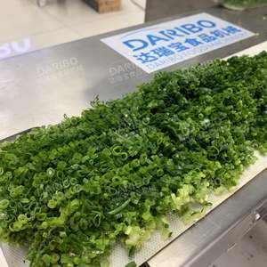 डेरीबो कन्वेयर पका हुआ मांस स्लिसर DRB-120 | स्मोक्ड मांस के लिए एकदम सही व्यवस्था - Product Image 5